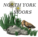 North Yoorkshire Moors National Park
